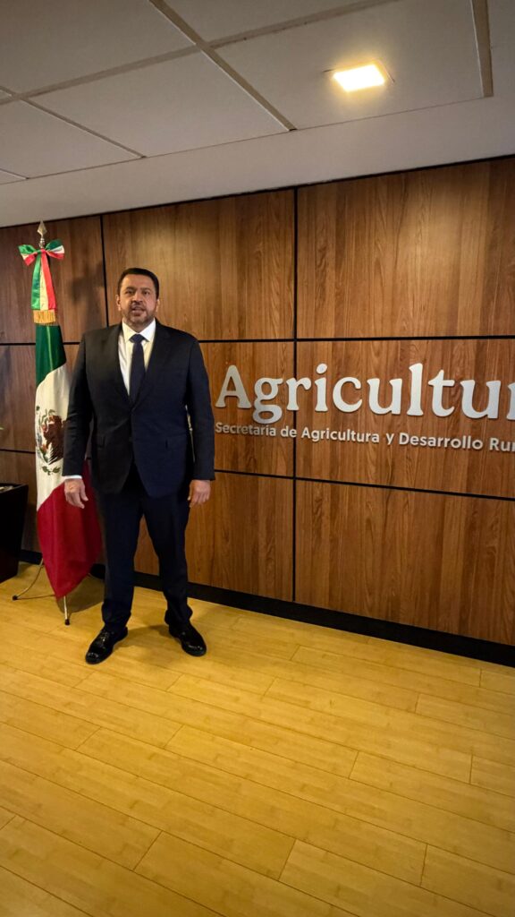 Reabre SADER ventanilla para pago a productores de maíz en Sinaloa, anuncia Ismael Bello Esquivel