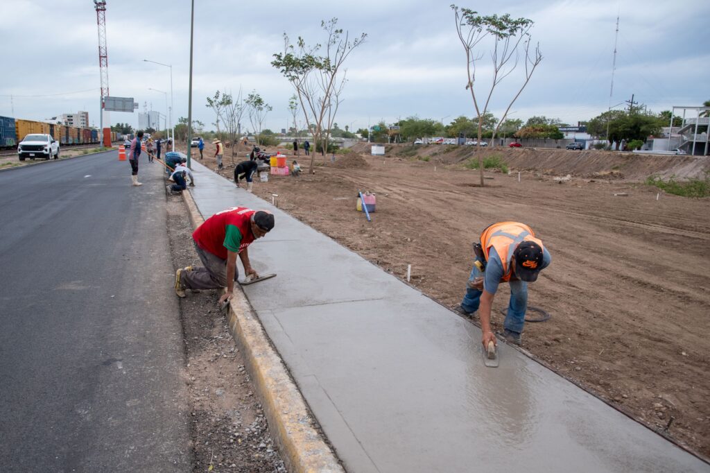 Ayuntamiento de Culiacán avanza en movilidad segura con mejoras en el Eje Federalismo