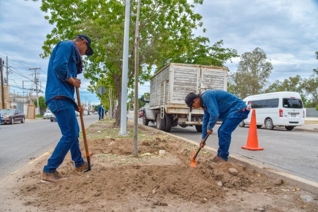 “Programa de bacheo, rehabilitación de banquetas y arborización, avanza satisfactoriamente”: Antonio Menéndez.