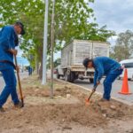 “Programa de bacheo, rehabilitación de banquetas y arborización, avanza satisfactoriamente”: Antonio Menéndez.