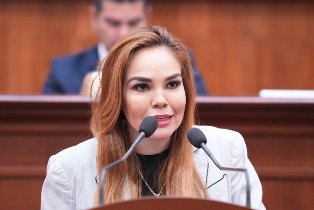 Morena y sus aliados han construido una nueva casta de privilegiados: Paola Gárate