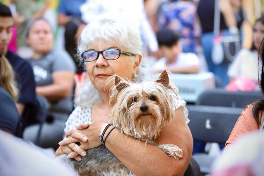 Secretaría de Salud llama a reforzar medidas preventivas contra la rickettsiosis