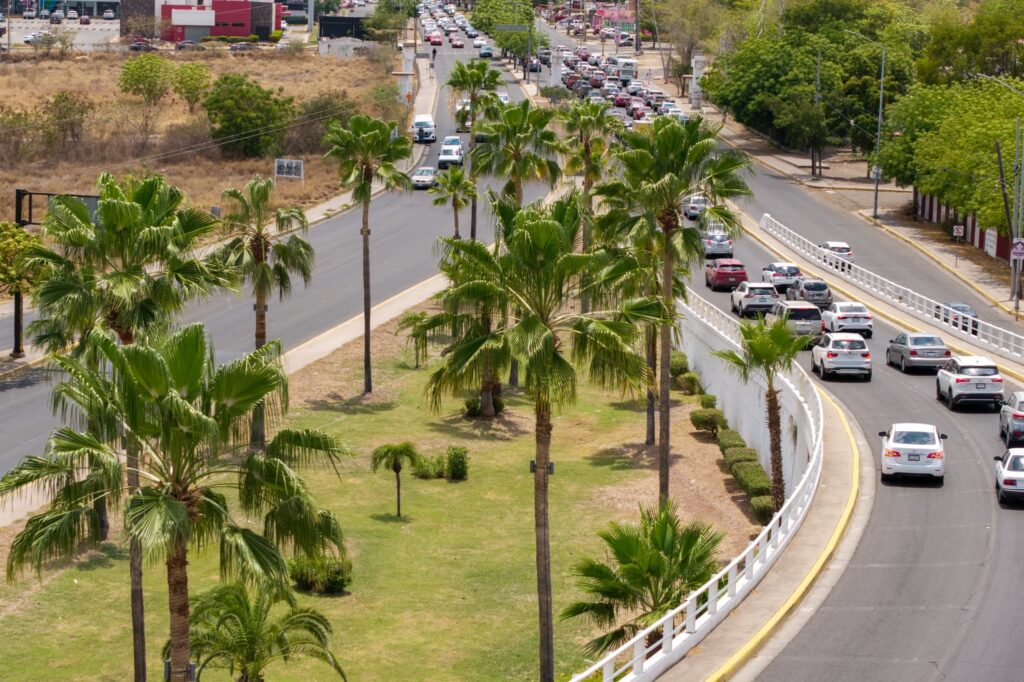 Renace el Distribuidor Vial Humaya con palmeras iluminadas y mejor imagen urbana