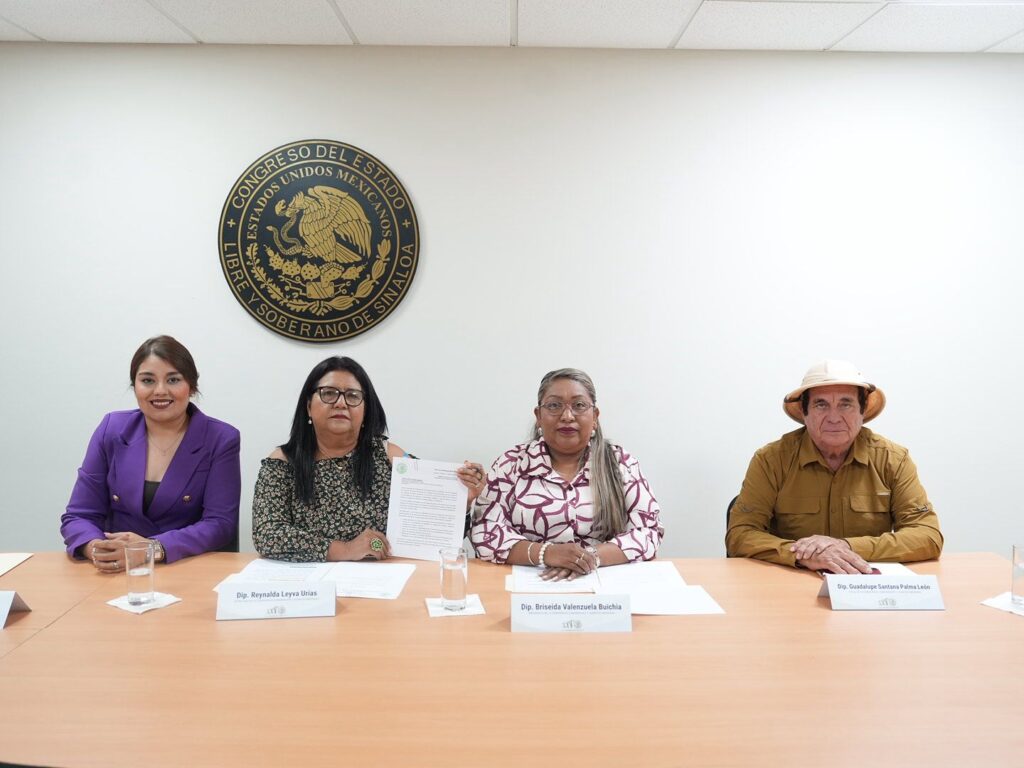 Comisión trabaja en una ruta para mejorar acceso a la justicia de personas indígenas