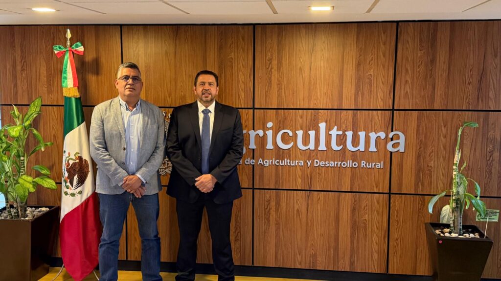 Reanuda SADER pagos pendientes del apoyo federal extraordinario a productores de la cosecha de maíz 2023-2024: Ismael Bello Esquivel