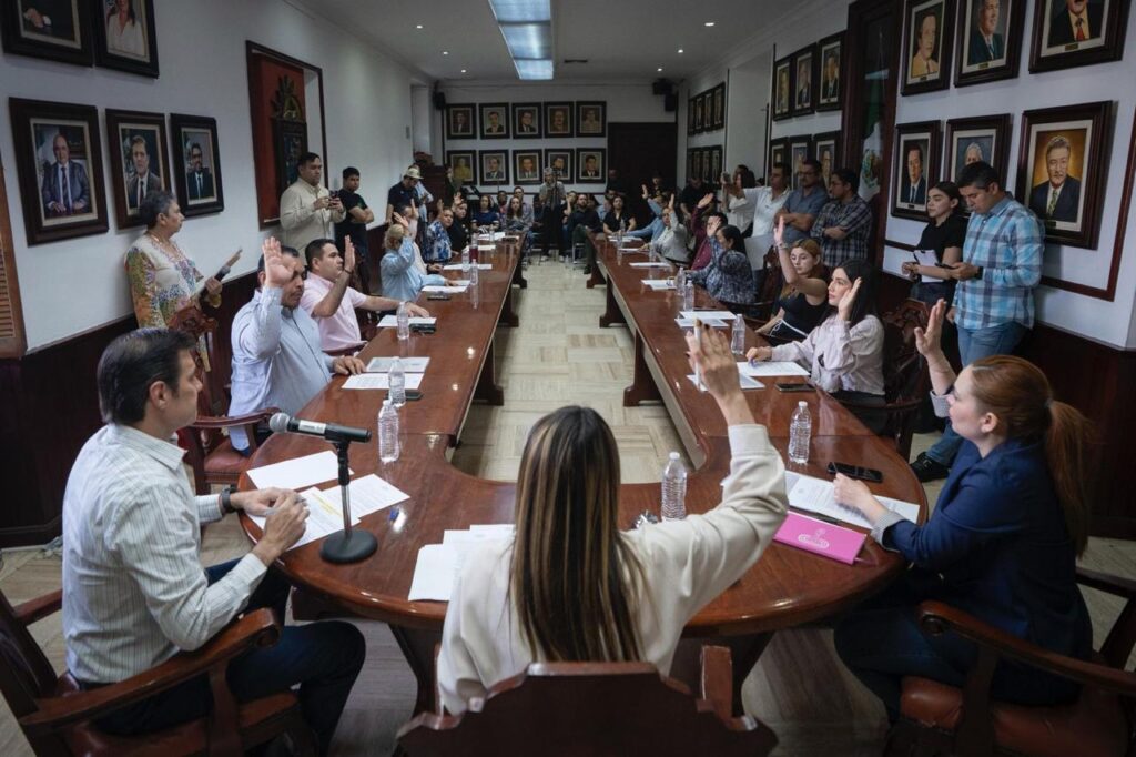 Cabildo aprueba recepción de terrenos como donación para áreas verdes