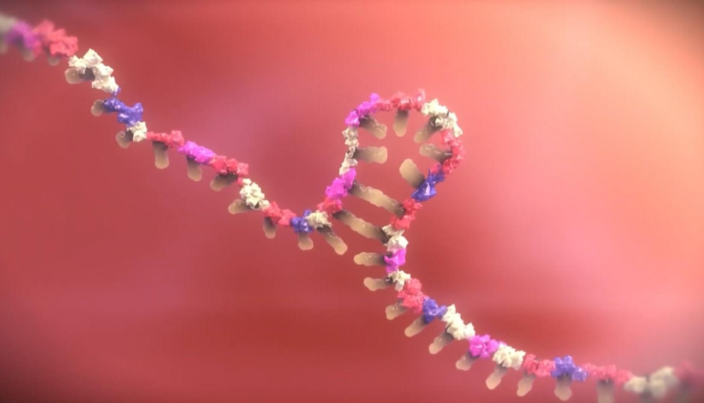 Investigadores buscan revertir la resistencia al tratamiento en cáncer cervicouterino; desarrollan estrategia molecular para mejorar la eficacia de las quimioterapias