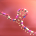 Investigadores buscan revertir la resistencia al tratamiento en cáncer cervicouterino; desarrollan estrategia molecular para mejorar la eficacia de las quimioterapias