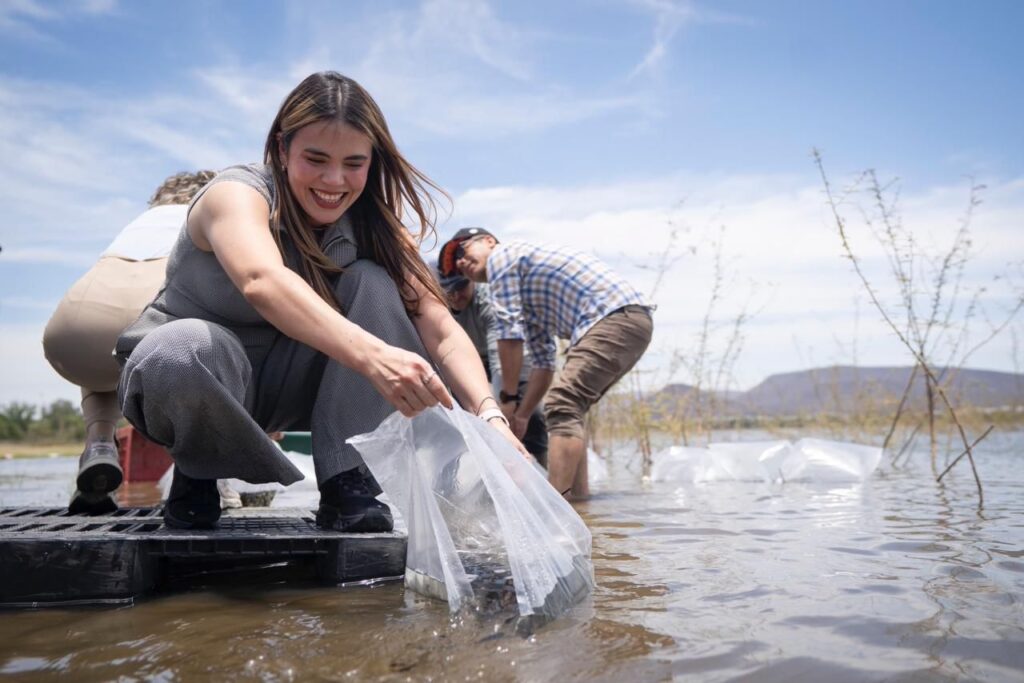 Liberarán 2 millones 300 mil alevines para la siembra en los 14 embalses de agua dulce del municipio