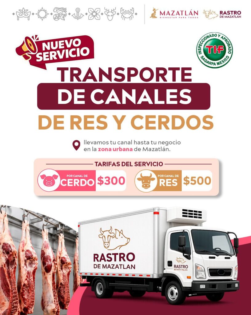 Rastro Municipal de Mazatlán anuncia nuevo servicio de transporte de canales para res y cerdo