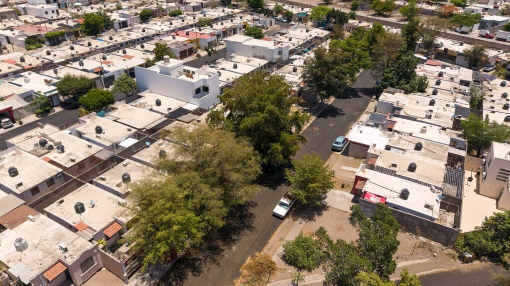 Calles más seguras y en mejores condiciones llegan al sector Capistrano con trabajos de reencarpetado