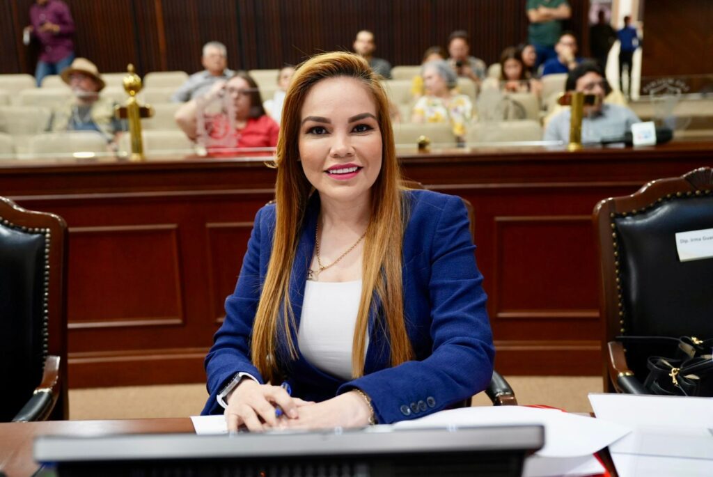 Morena no se atreve a blindar los procesos electorales del dinero sucio ni de la operación del crimen organizado: Paola Gárate