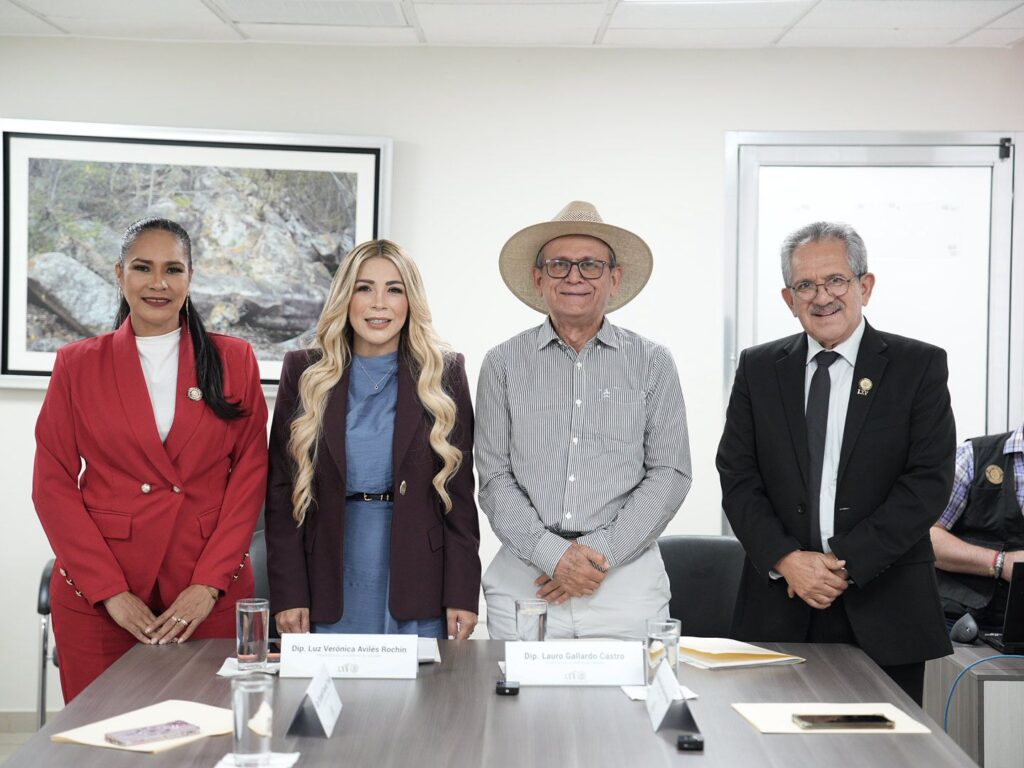 Comisión de Turismo analiza iniciativa para fortalecer protección de menores de edad en servicios turísticos