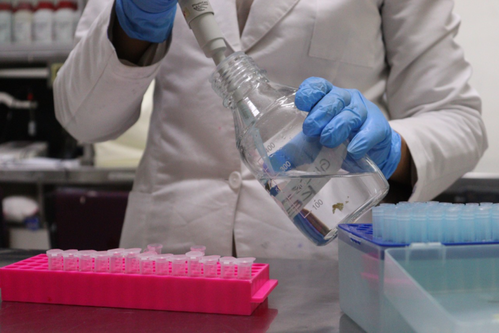 Estudio de la Facultad de Ciencias Químico Biológicas de la UAS evalúa la efectividad de nuevos antibióticos frente a Pseudomonas aeruginosa