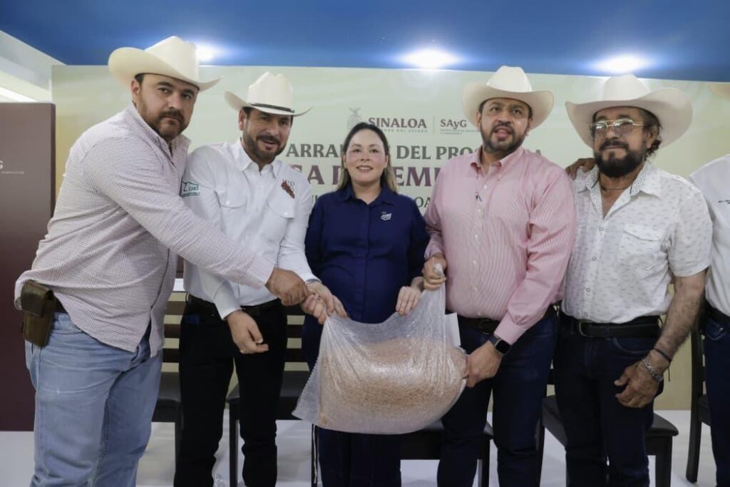 Entrega gobernadora Yeraldine semilla de sorgo a más de 3 mil 800 ganaderos de Sinaloa
