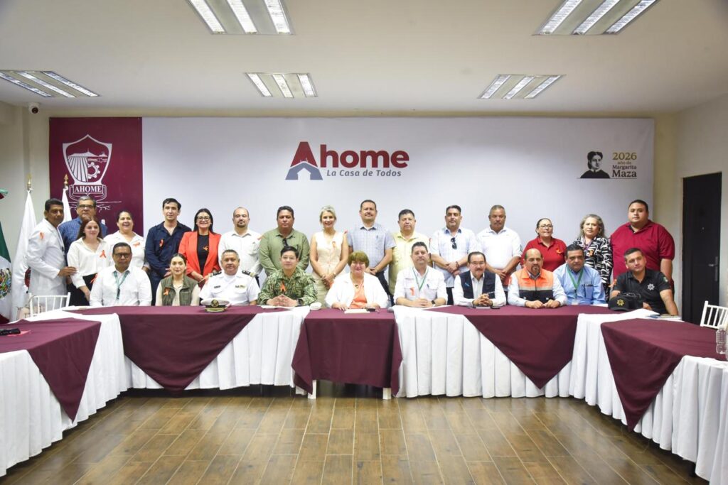 Comité Municipal de Salud sesiona y destaca acciones contra el dengue y brigadas ante golpes de calor.