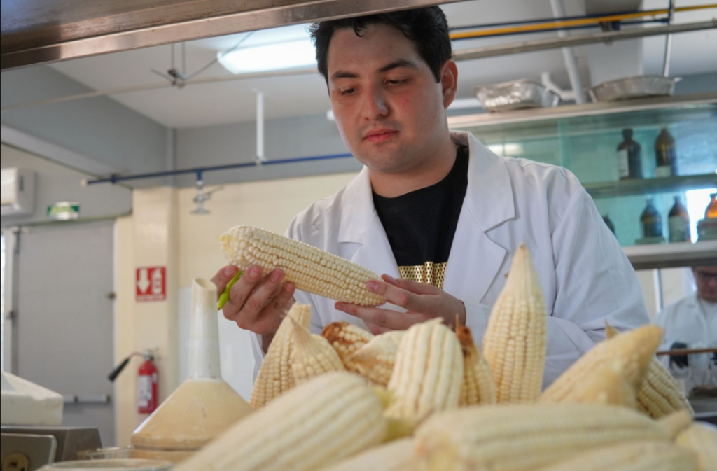 Estudiante de Agronomía de la UAS realizará verano científico en el CIAD; investigará el uso de quitina de camarón para mejorar semillas de maíz