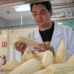 Estudiante de Agronomía de la UAS realizará verano científico en el CIAD; investigará el uso de quitina de camarón para mejorar semillas de maíz