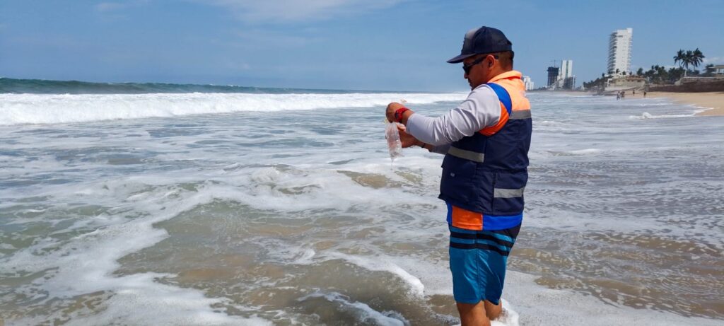 COEPRISS informa que las 22 playas monitoreadas en Sinaloa son aptas para uso recreativo.