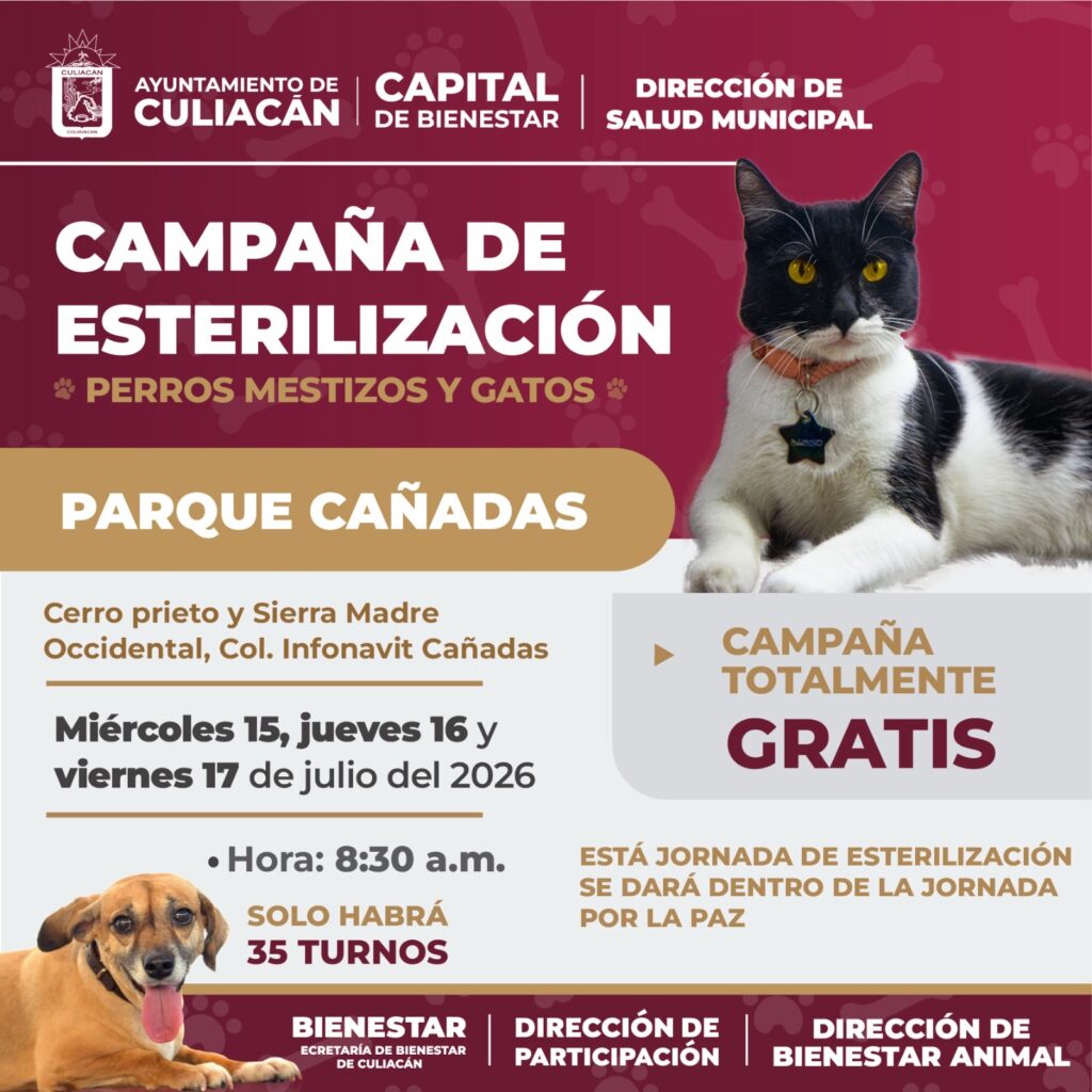 Invitan a jornadas gratuitas de esterilización para perros mestizos y gatos en Infonavit Cañadas