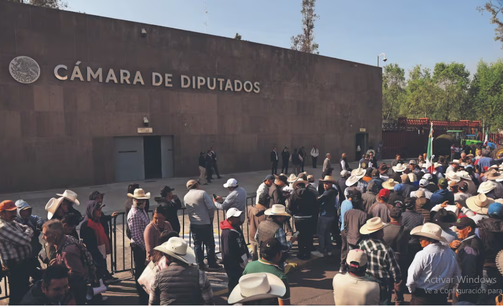 Diputados acumulan viajes al extranjero pese al discurso de austeridad