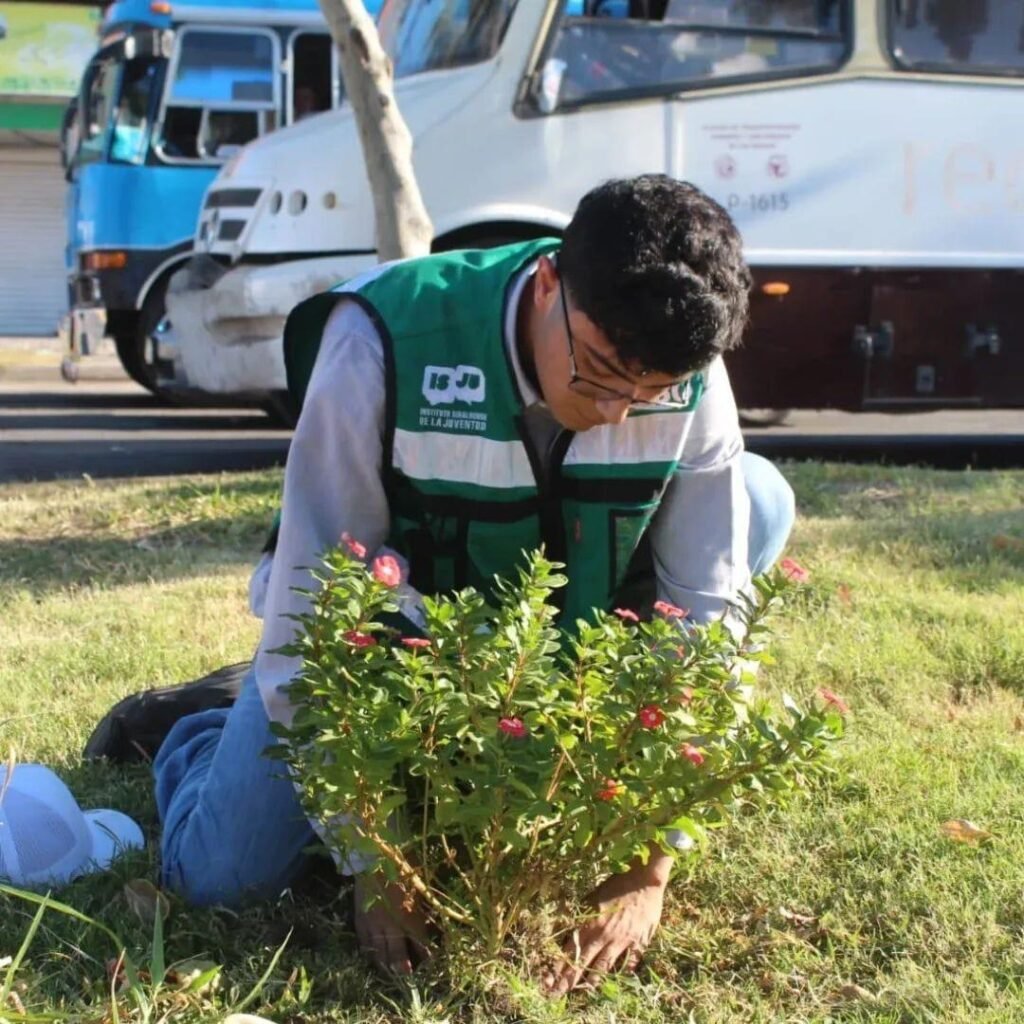 Invita IMJU al programa “Tequios por la Transformación y Cortos por la Paz”, mañana 29 en el parque Naranjos.