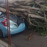 Atiende Ayuntamiento de Culiacán afectaciones por lluvias y fuertes vientos con operativo permanente