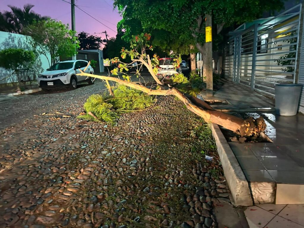 Rachas de viento generan afectaciones en la ciudad; Protección Civil atiende 10 emergencias
