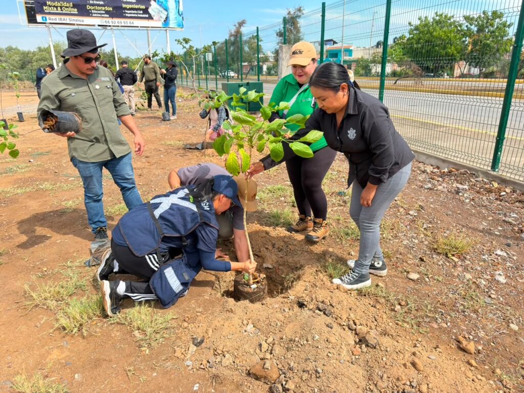 Conmemoran el Día Nacional del Árbol con jornada de arborización en el Infiernillo