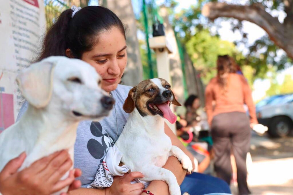 Fortalece Gobierno de Mazatlán el bienestar animal con programas permanentes de esterilización y adopción responsable