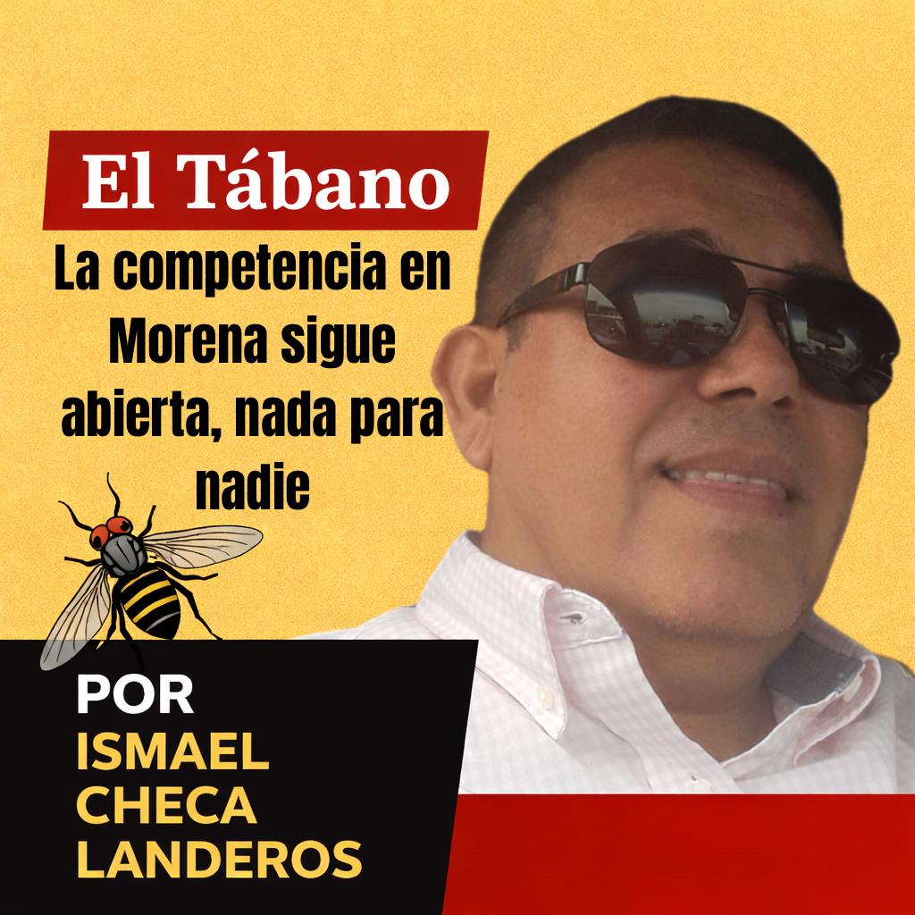 La competencia en Morena sigue abierta, nada para nadie. EL TÁBANO Por Ismael Checa Landeros.