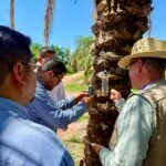 Secretaría de Salud confirma dos casos de gusano barrenador en humanos en Sinaloa