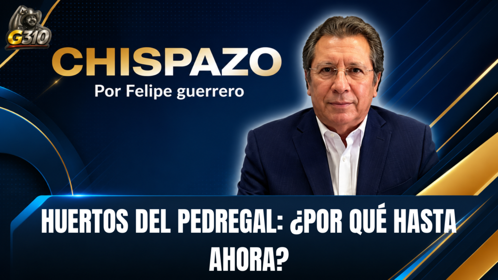 HUERTOS DEL PEDREGAL: ¿POR QUÉ HASTA AHORA? CHISPAZO/Felipe Guerrero Bojórquez 