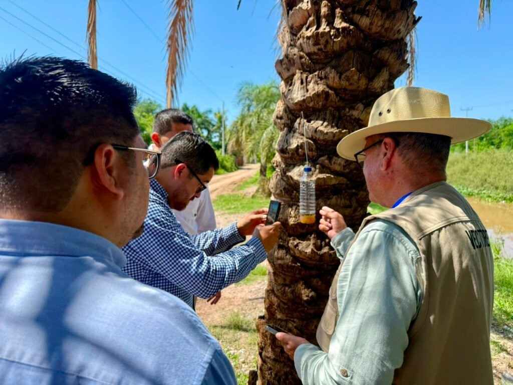 Salud Sinaloa refuerza trabajo de campo para prevenir riesgos asociados al gusano barrenador