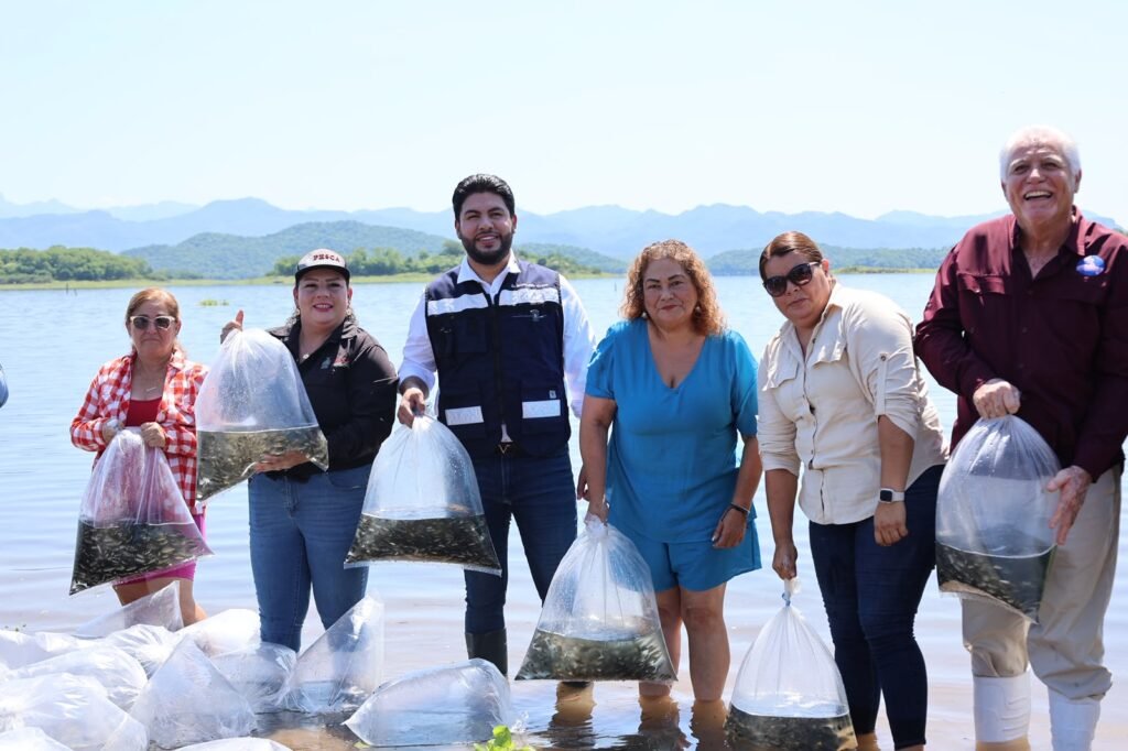 Siembran 500 mil alevines en la presa “El Salto”