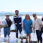 Siembran 500 mil alevines en la presa “El Salto”