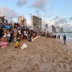 Mazatlán liberará 280 crías de tortuga golfina este jueves