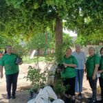 Más de 3 mil árboles llegan a 250 parques para combatir el calor y recuperar espacios para la comunidad