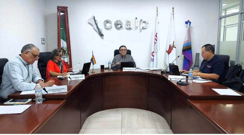 Durante el año 2025 de las 583 resoluciones de recursos de revisión resueltas por la Comisión Estatal para el Acceso a la Información Pública el 91.82% fueron a favor de las personas recurrentes. 