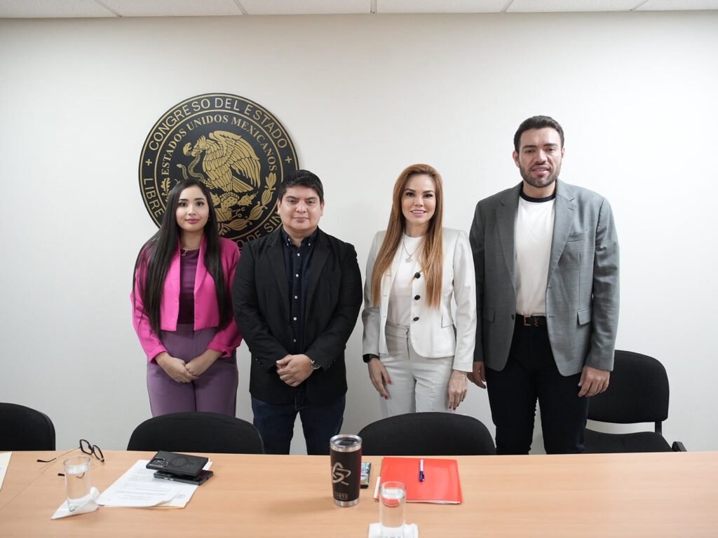 En Comisión, aprueban elección de Aldo Ruiz González para integrarse al Consejo Consultivo del Instituto para la Protección de Personas Defensoras de Derechos Humanos y Periodistas del Estado de Sinaloa